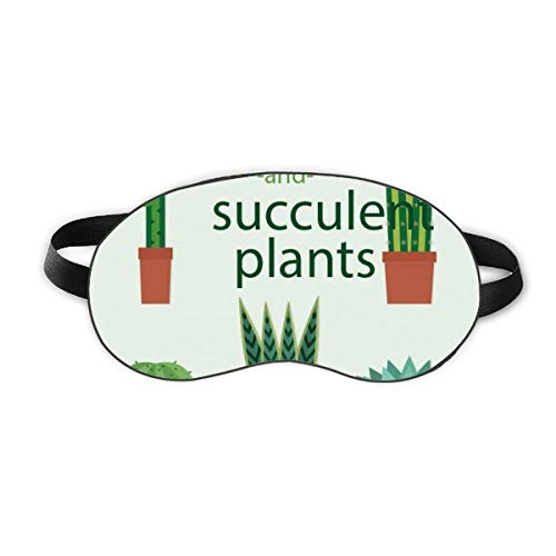 Pozsgás Növények Cserepes Növény Kaktusz Illusztráció Aludni Szem Pajzs Puha Este Kendőt Árnyékba Borító
