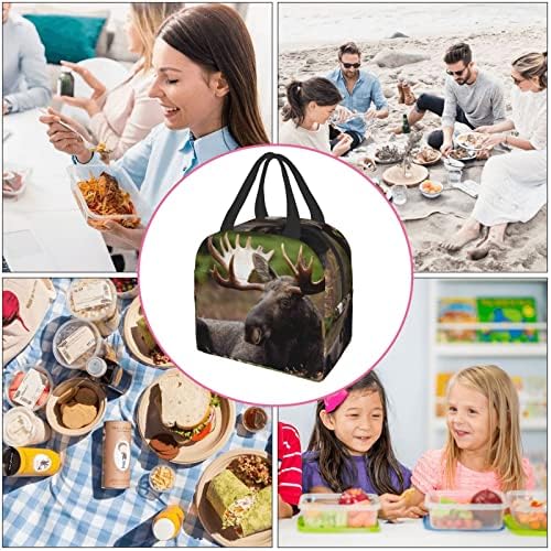 Szarvas Női Ebéd Bag, Hordozható Megvastagodott Szigetelt Ebéd Bag Újrafelhasználható Ebédet Az Iskolába,