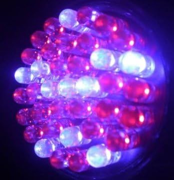 Jumbuk 38 Ultra Fényes LED - 2 inch - Izzó NÉLKÜL (Piros / Kék)